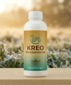 KREO Enraizamiento